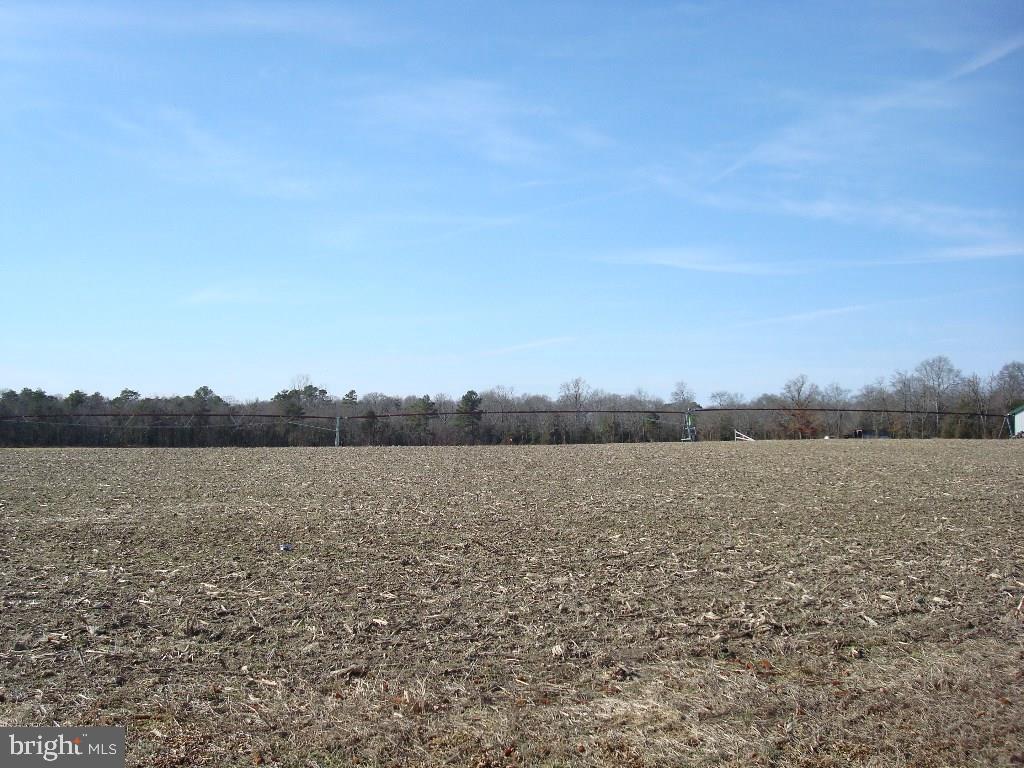 Apple Tree Road Bridgeville, DE 19933 - Photo 1 of 1 Gallery Image 1
