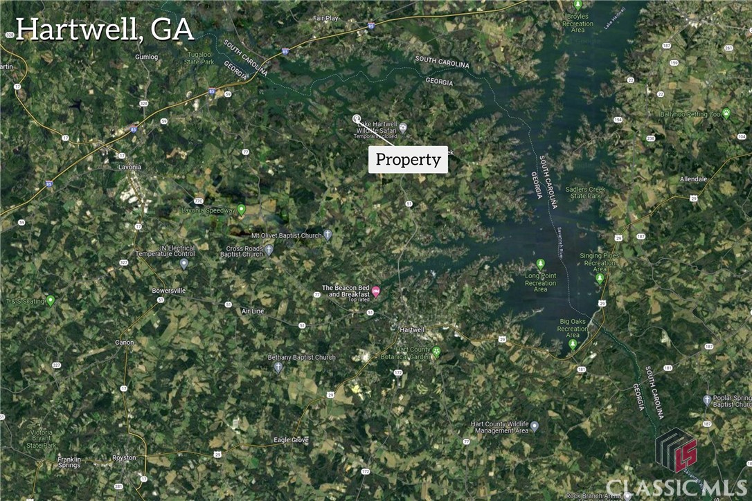 0 Paynes Creek Road, Unit LOT 7 Hartwell, GA 30643 - Photo 15 of 17