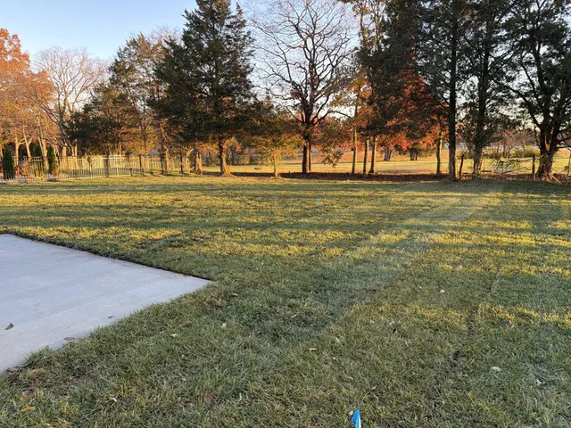 a view of green field
