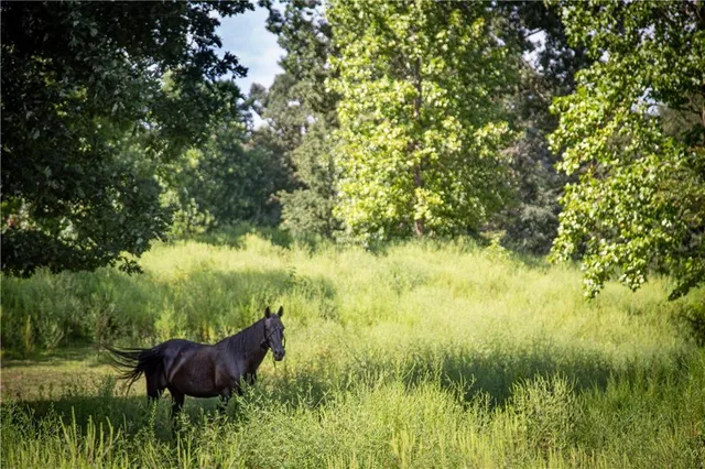 $1,229,000 | 4274 Pillsbury Road, Gainesville, GA 30507