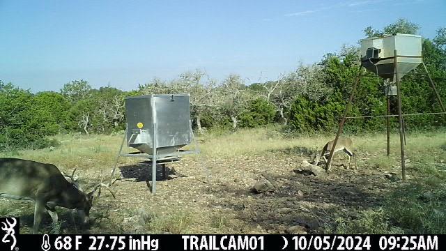 1 Elrincon Road Mountain Home, TX 78058 - Photo 17 of 19