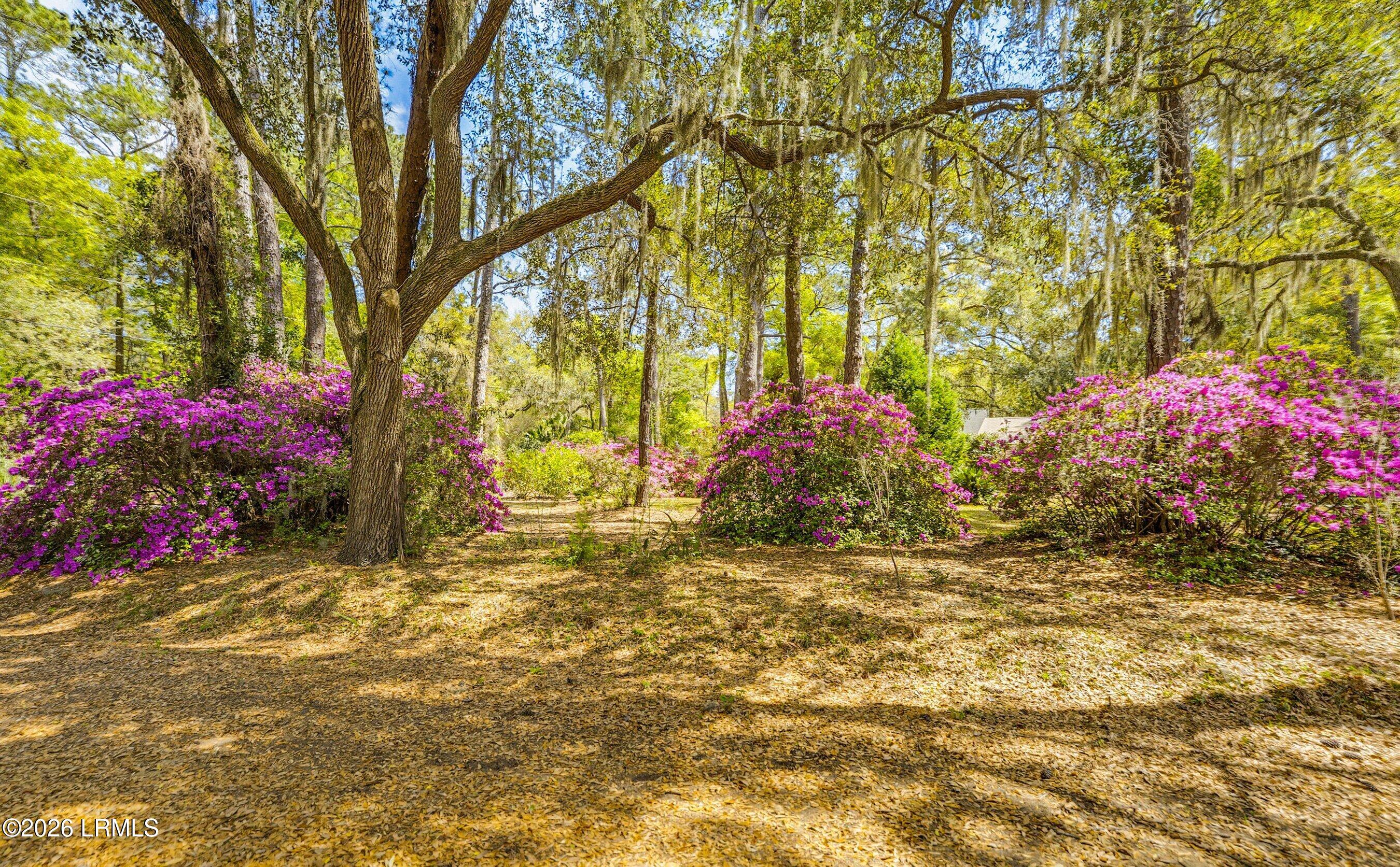64 State Rd S-7-161 St. Helena Island, SC 29920 - Photo 63 of 74 DSC06333.jpg-SMALL