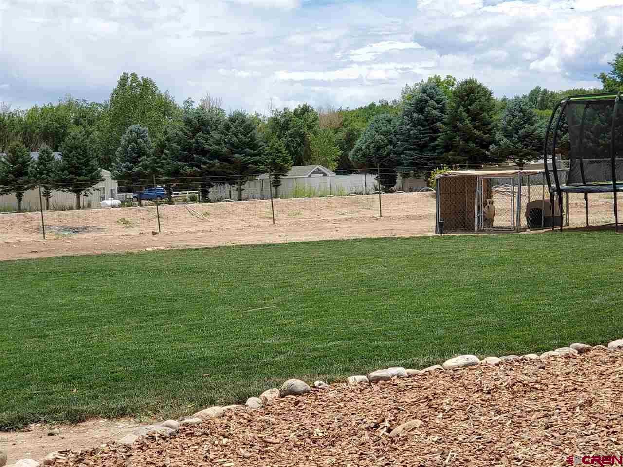3156 1585 Road Delta, CO 81416 - Photo 4 of 21