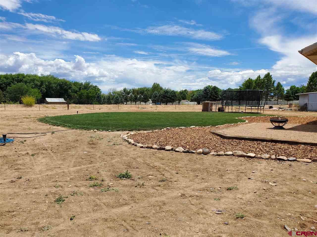 3156 1585 Road Delta, CO 81416 - Photo 6 of 21