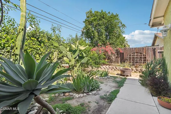 a view of a potted plants in front of a building