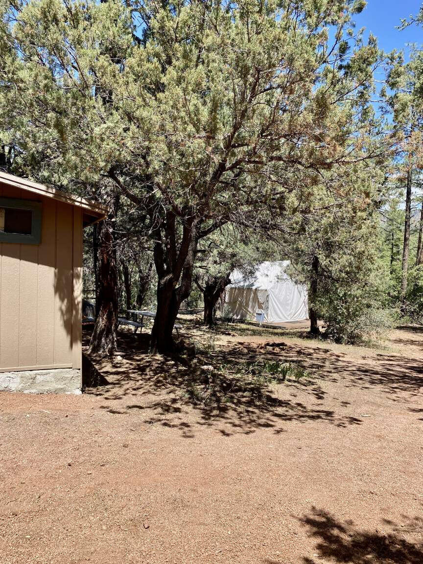 167 South Ranch Lane Payson, AZ 85541 - Photo 5 of 40 a view of a outdoor space with large trees