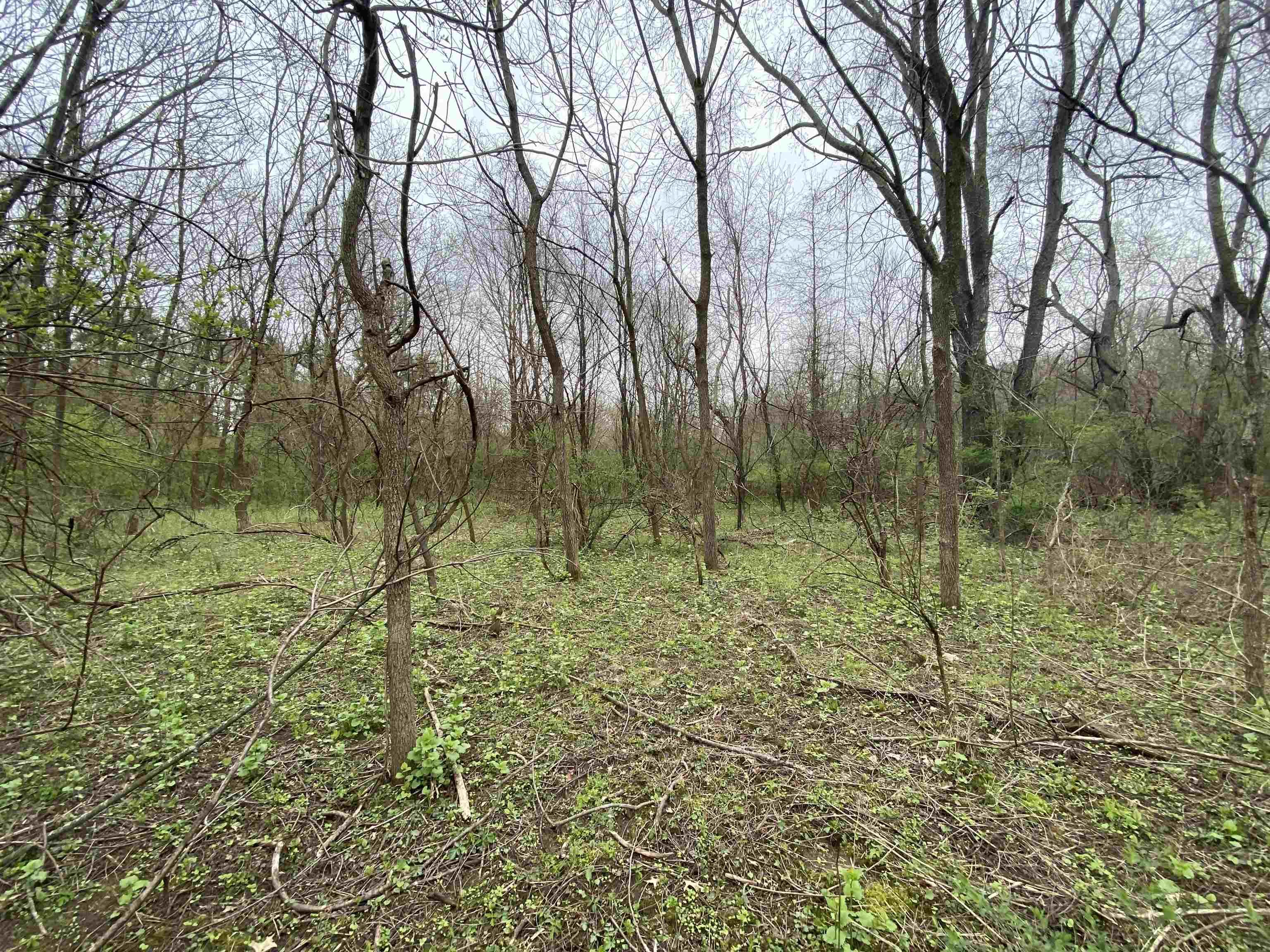 Edison Edison Rd Bend South Bend, IN 46628 - Photo 11 of 11