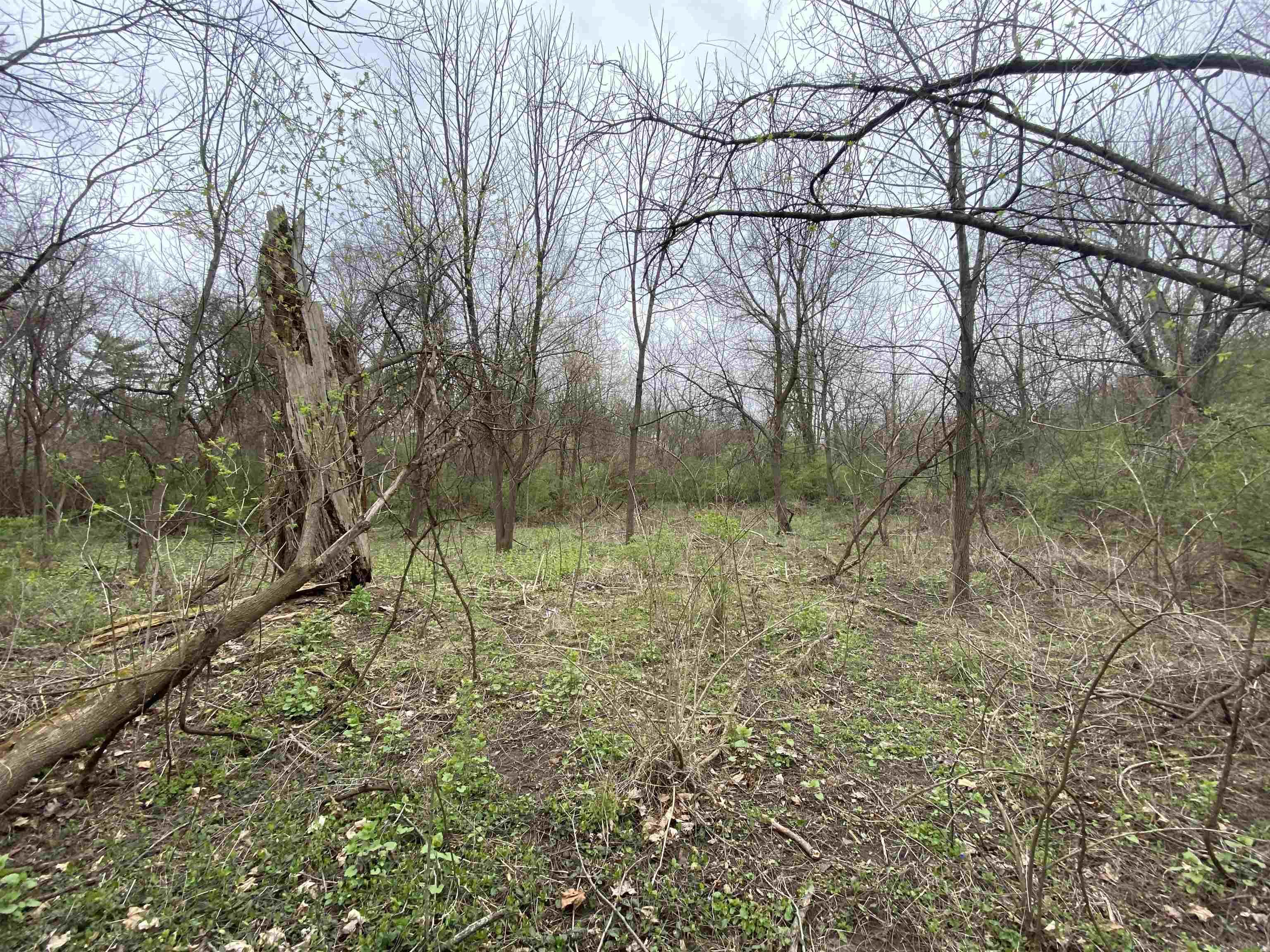 Edison Edison Rd Bend South Bend, IN 46628 - Photo 6 of 11