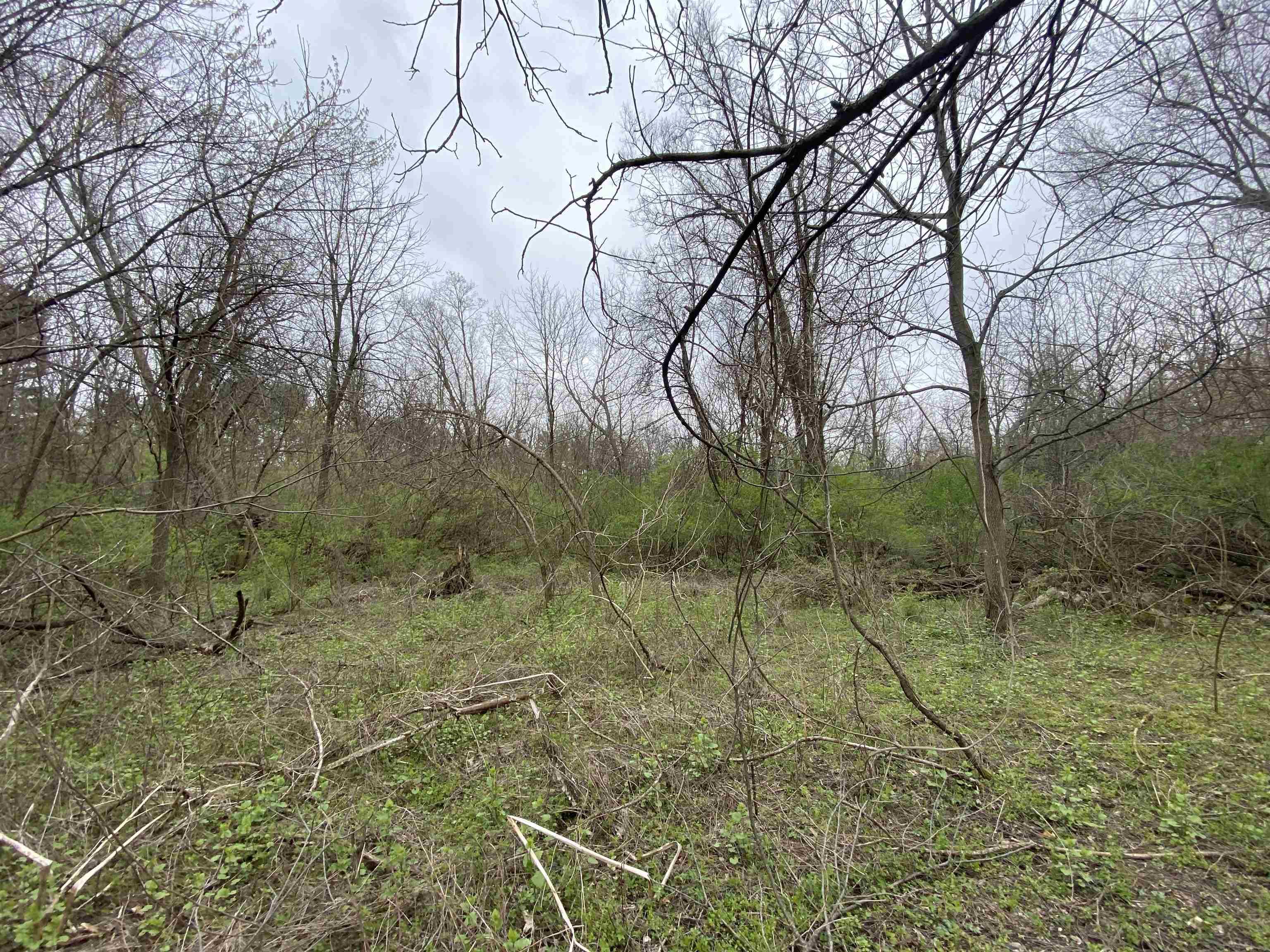 Edison Edison Rd Bend South Bend, IN 46628 - Photo 7 of 11