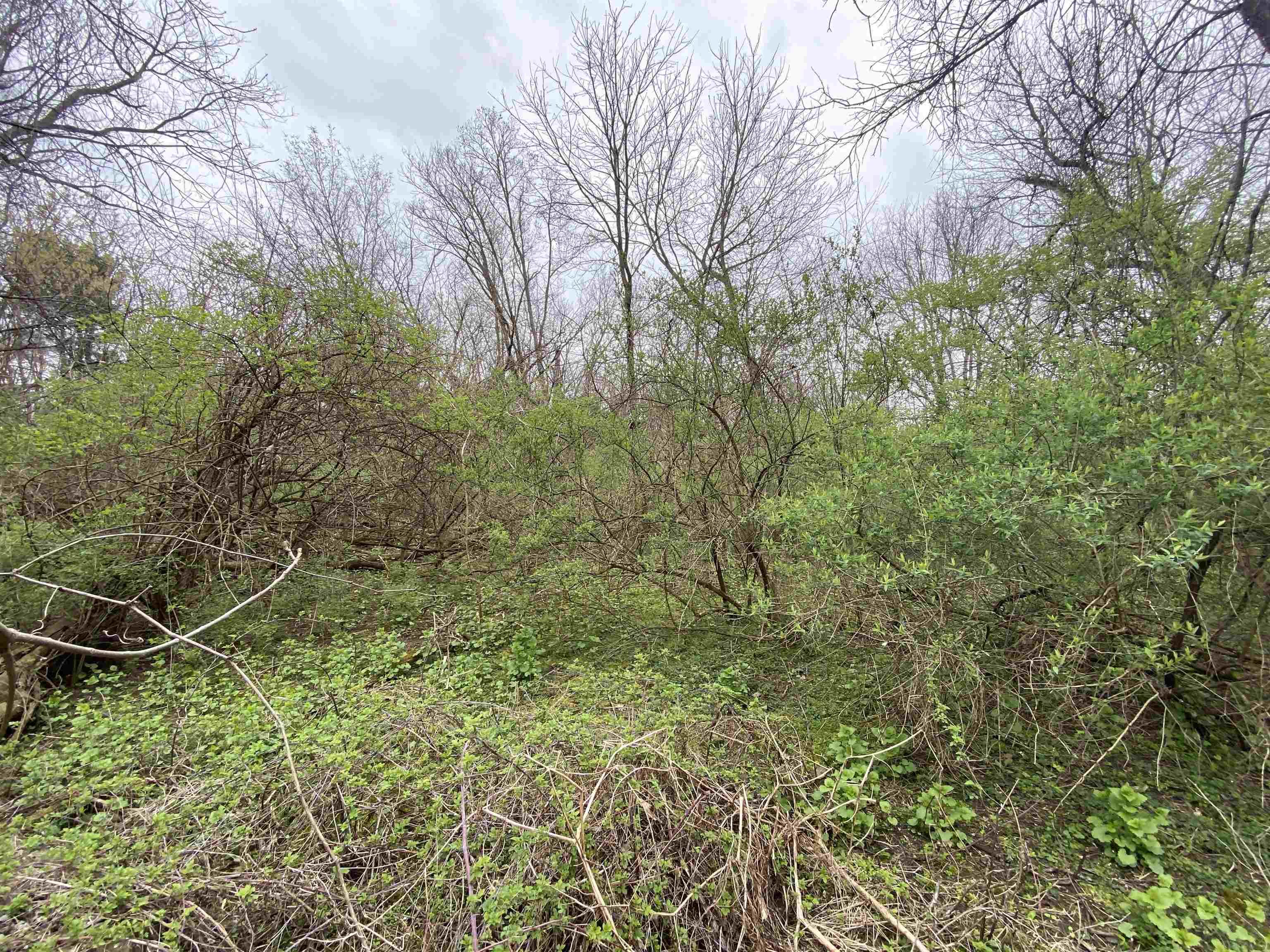 Edison Edison Rd Bend South Bend, IN 46628 - Photo 8 of 11