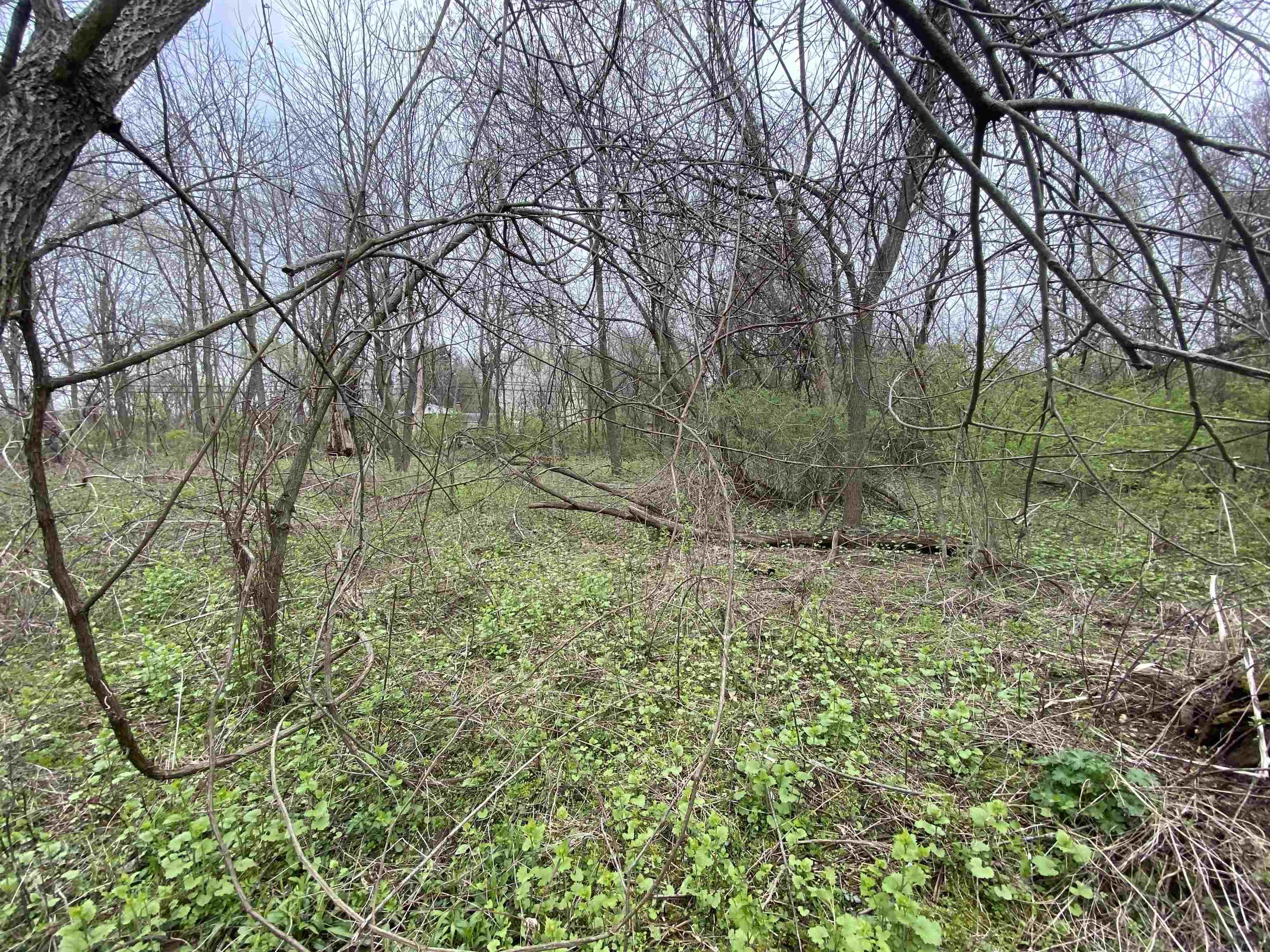 Edison Edison Rd Bend South Bend, IN 46628 - Photo 9 of 11