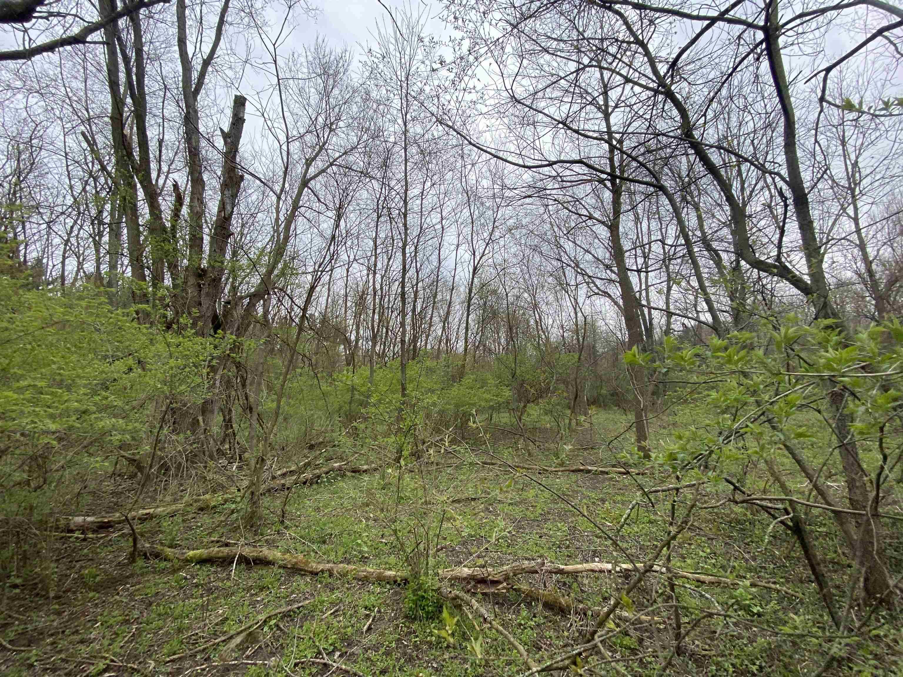 Edison Edison Rd Bend South Bend, IN 46628 - Photo 10 of 11