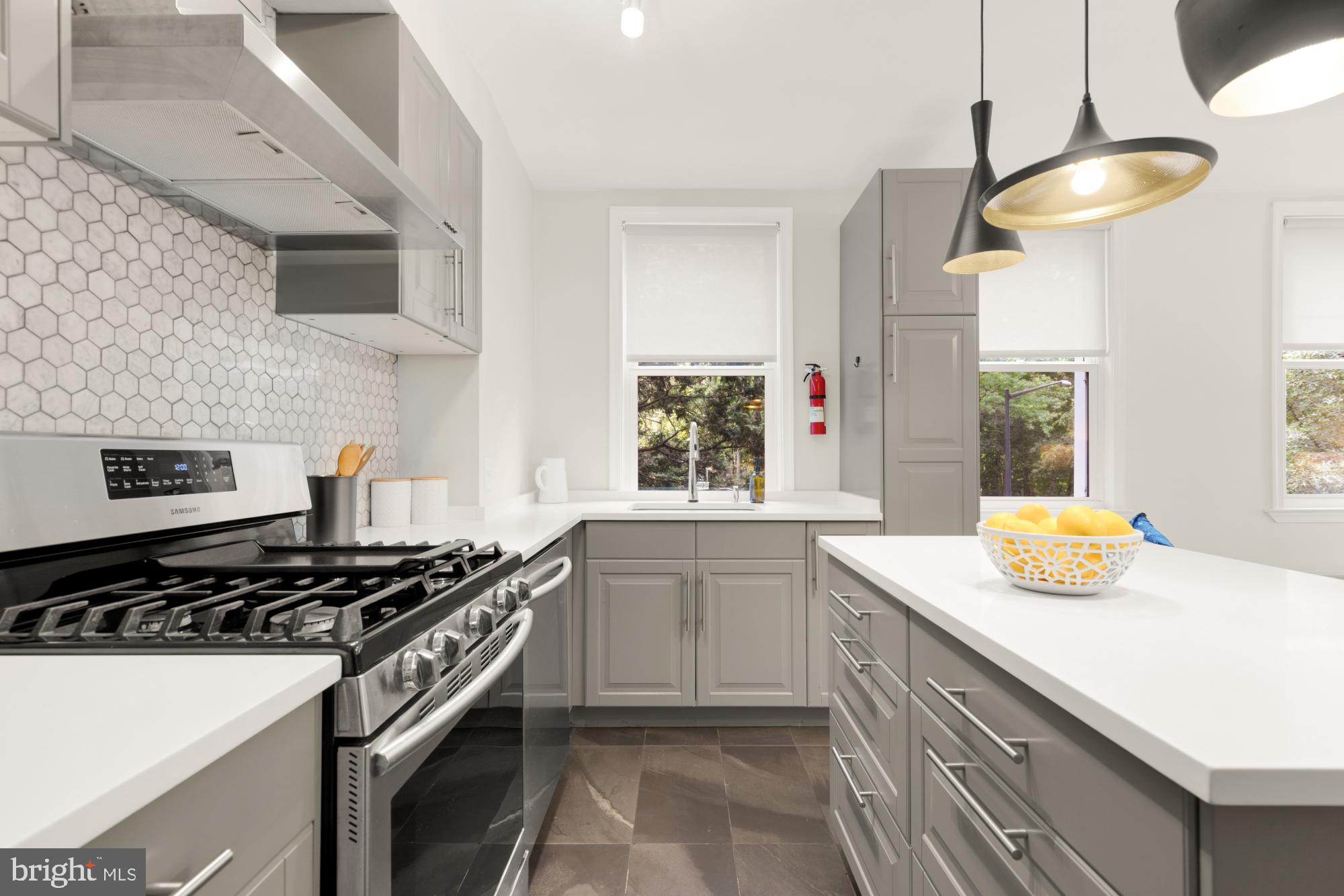 2801 Adams Mill Road Northwest, Unit 210 Washington, DC 20009 - Photo 7 of 32 Renovated kitchen