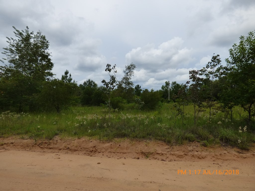 0 Gunter Pond Road Wagener, SC 29164 - Photo 2 of 2