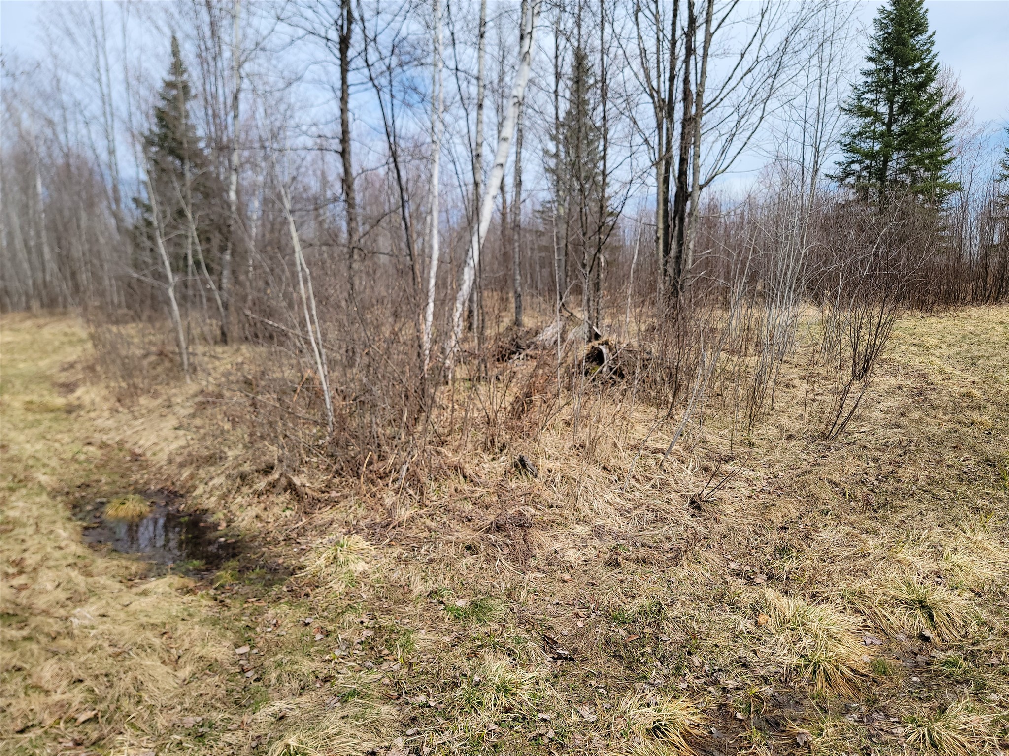 On Elderwood Road Phillips, WI 54555 - Photo 11 of 13