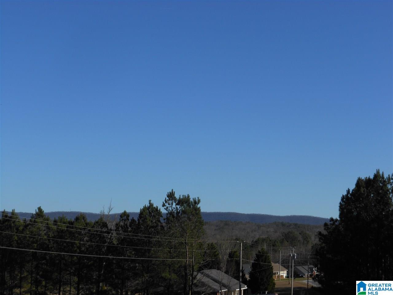 333 Indian Valley Road Sylacauga, AL 35150 - Photo 14 of 14