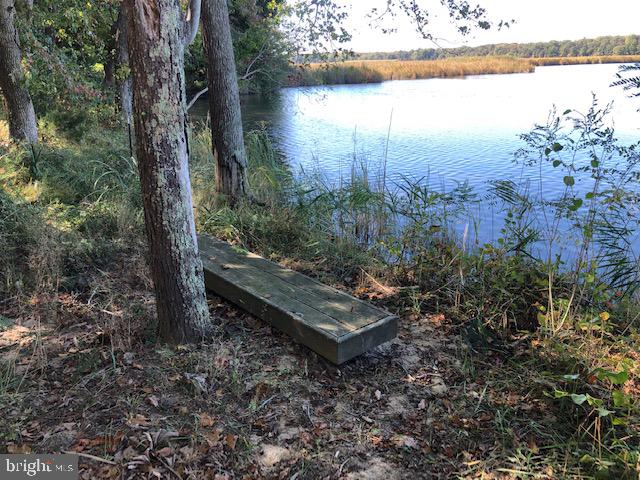 Deep Cove King George, VA 22485 - Photo 11 of 20