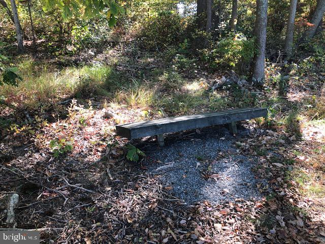 Deep Cove King George, VA 22485 - Photo 12 of 20