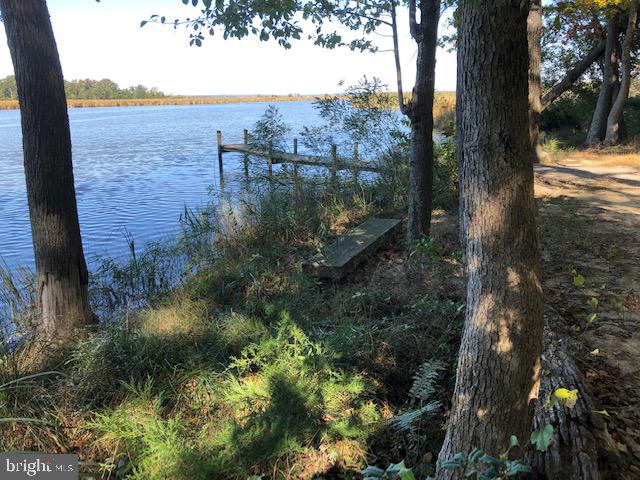 Deep Cove King George, VA 22485 - Photo 15 of 20