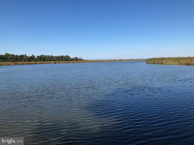 Deep Cove King George, VA 22485 - Photo 17 of 20