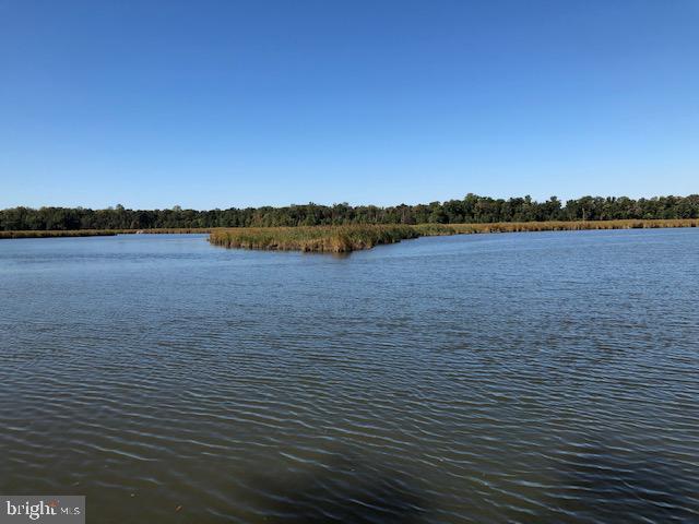 Deep Cove King George, VA 22485 - Photo 18 of 20