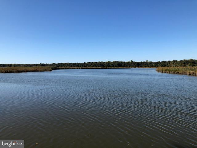 Deep Cove King George, VA 22485 - Photo 19 of 20