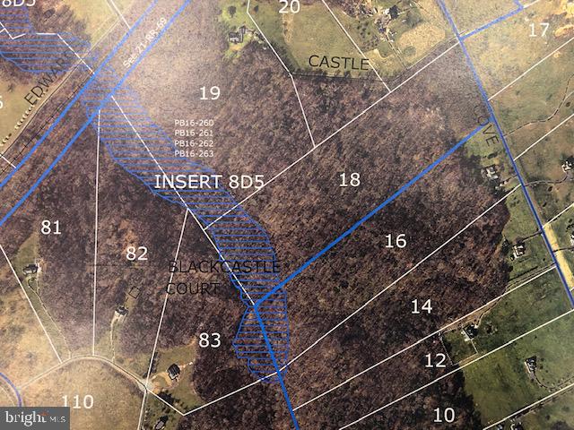 Deep Cove King George, VA 22485 - Photo 3 of 20