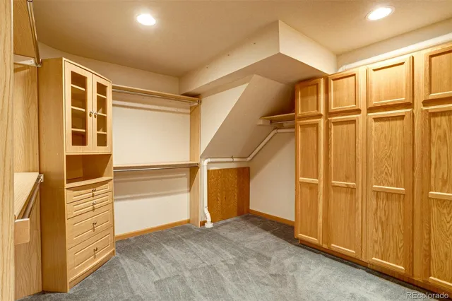 a view of walk in closet with empty racks
