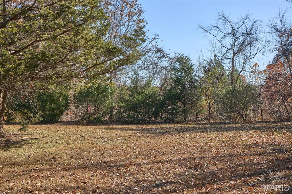 64 East E Highway, Unit BOX 2130 West Plains, MO 65775 - Photo 13 of 24