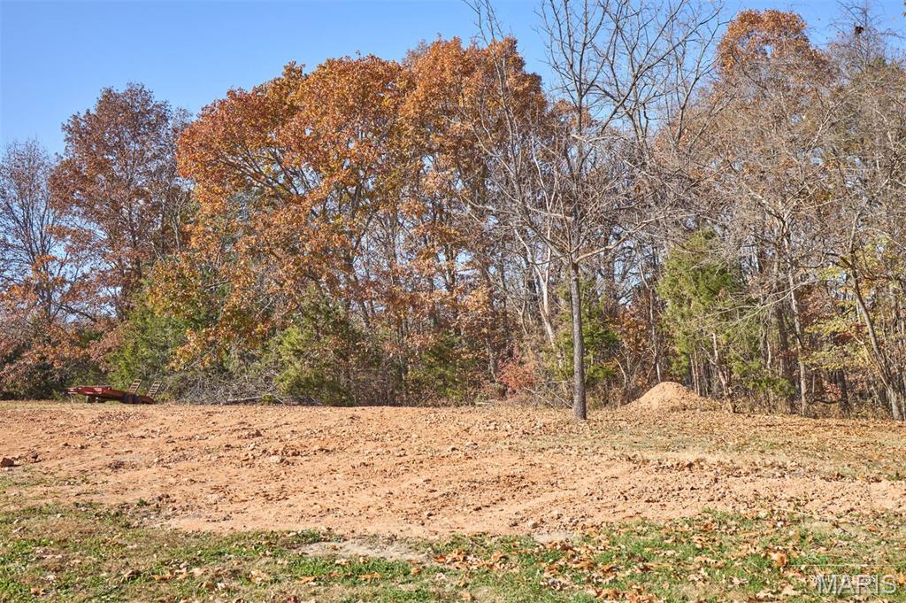 64 East E Highway, Unit BOX 2130 West Plains, MO 65775 - Photo 15 of 24