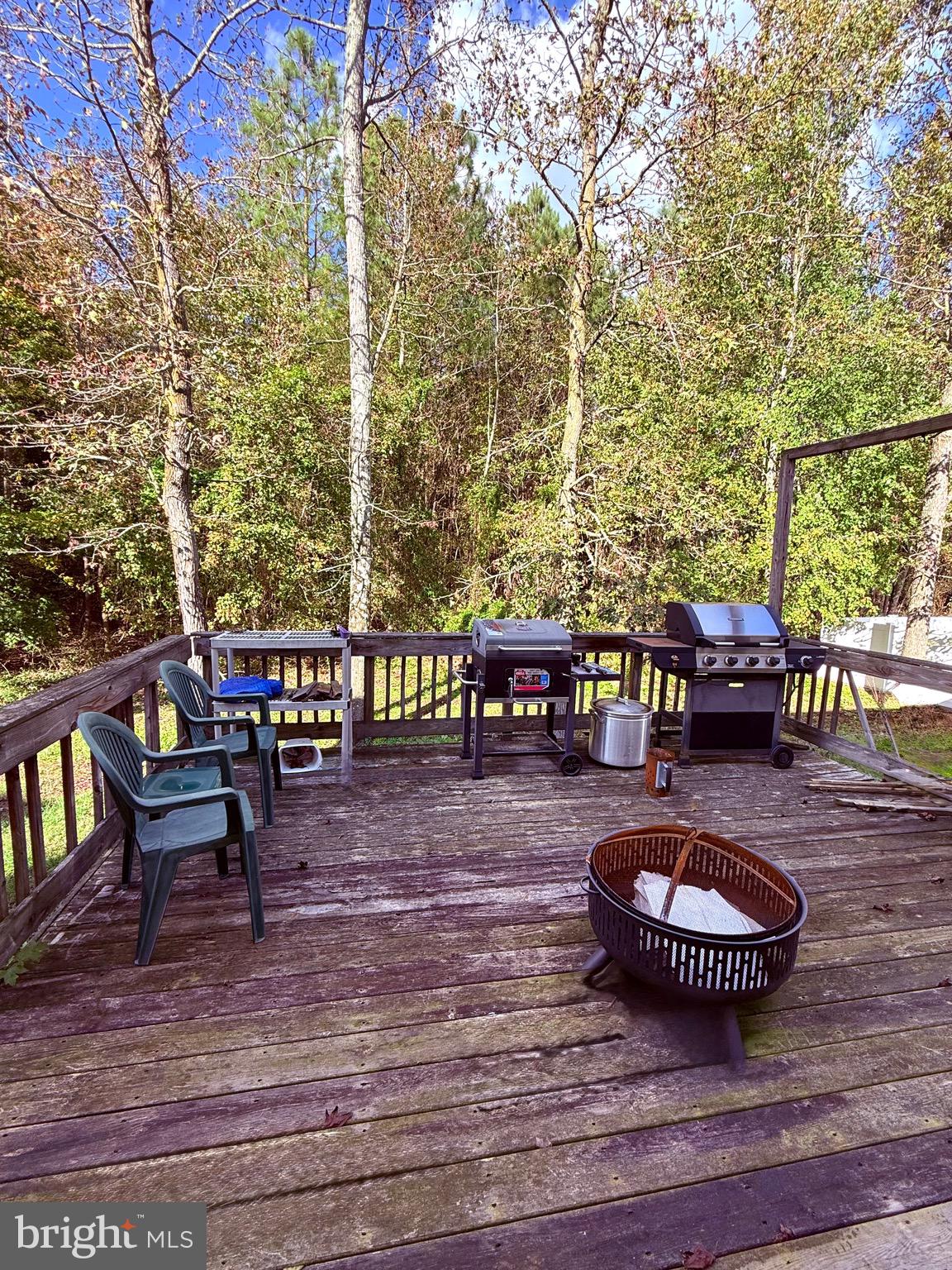 1233 Painted Fern Road Denton, MD 21629 - Photo 3 of 4