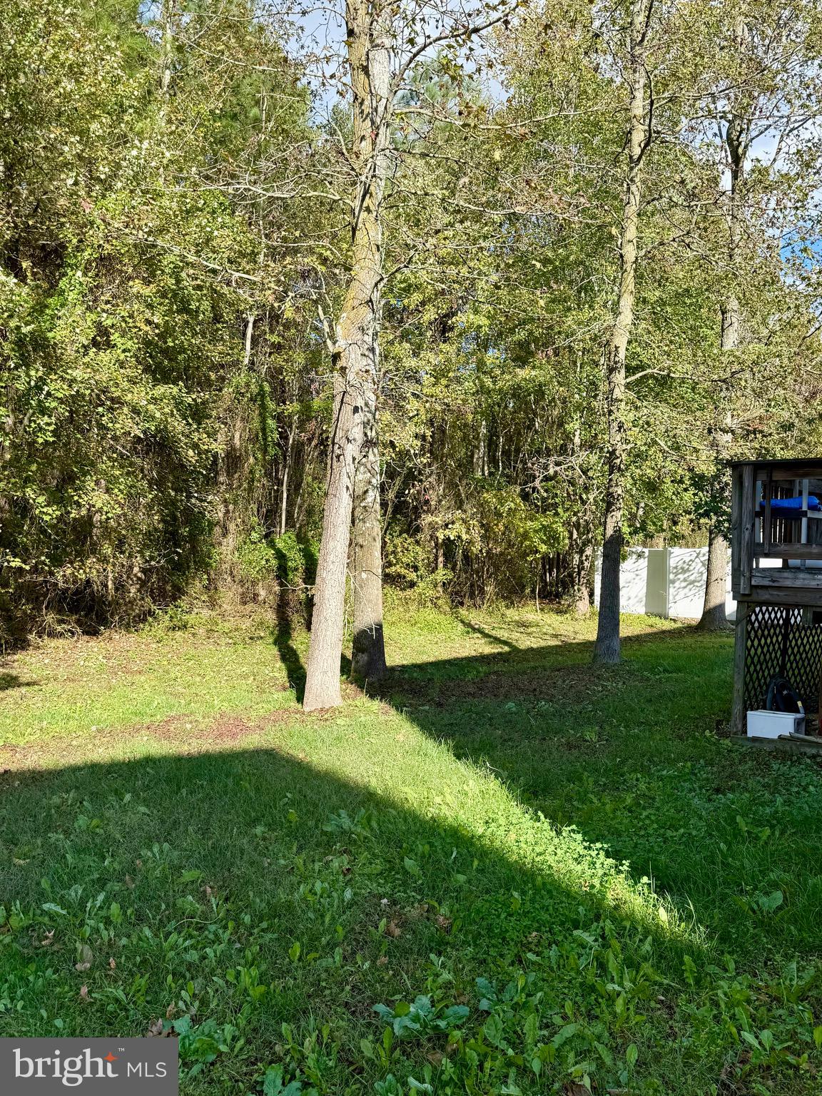 1233 Painted Fern Road Denton, MD 21629 - Photo 4 of 4