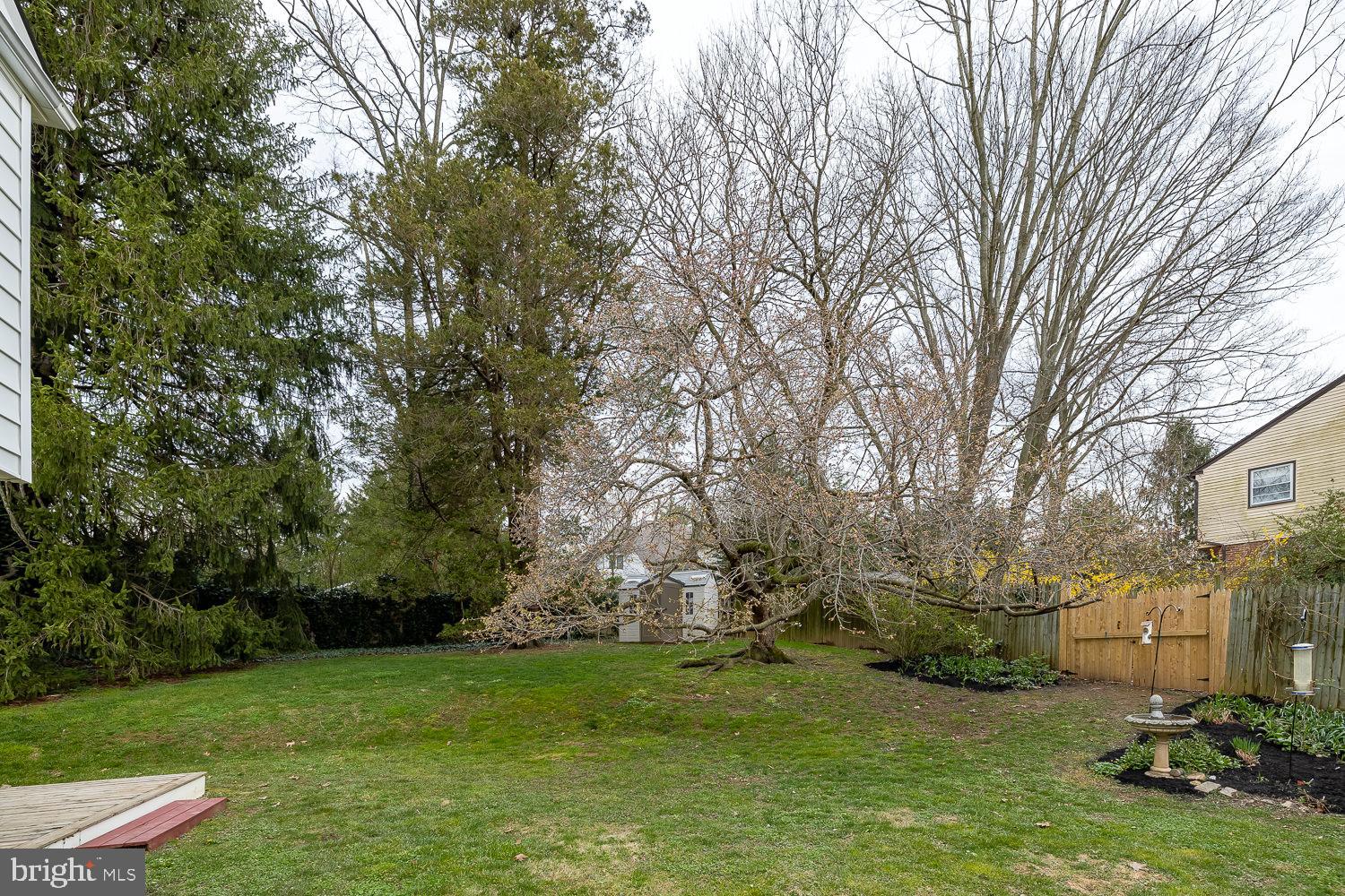 206 Knoll Road Wallingford, PA 19086 - Photo 33 of 35 Side yard