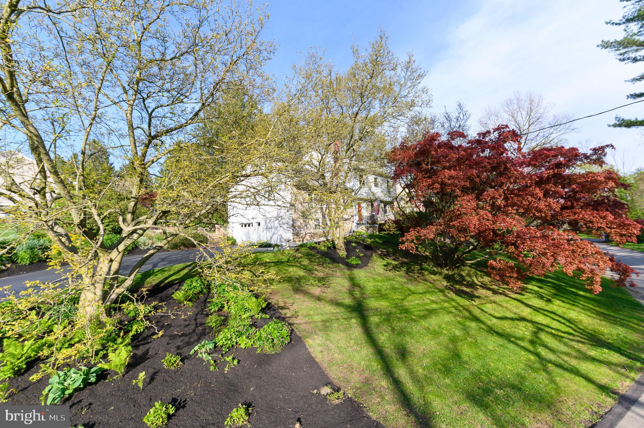 206 Knoll Road Wallingford, PA 19086 - Photo 34 of 35 Front yard near driveway