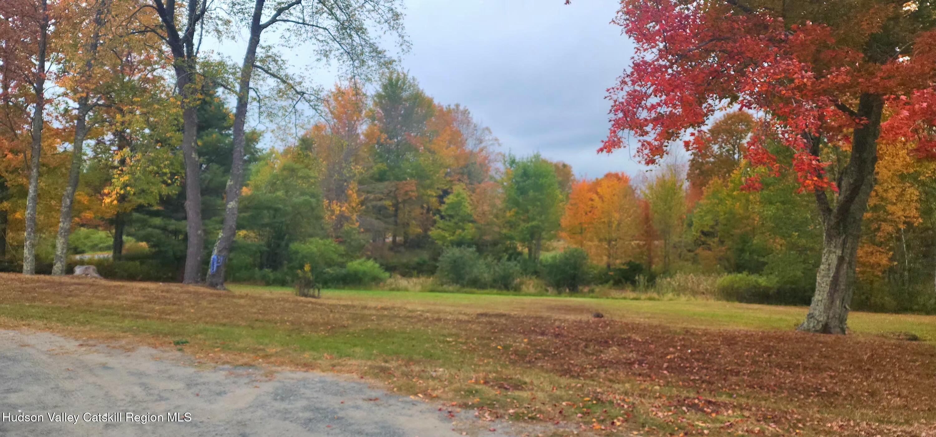 133 Old Field Road Jewett, NY 12444 - Photo 58 of 63 side yard w/pond