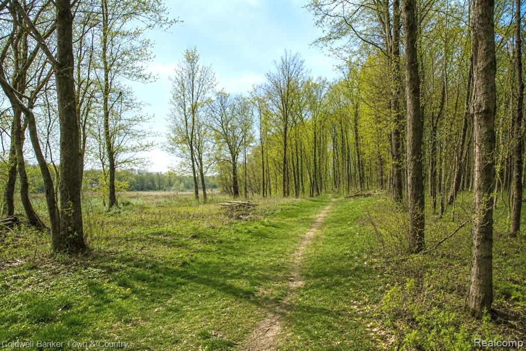 Vl Spears Road Gregory, MI 48137 - Photo 1 of 25
