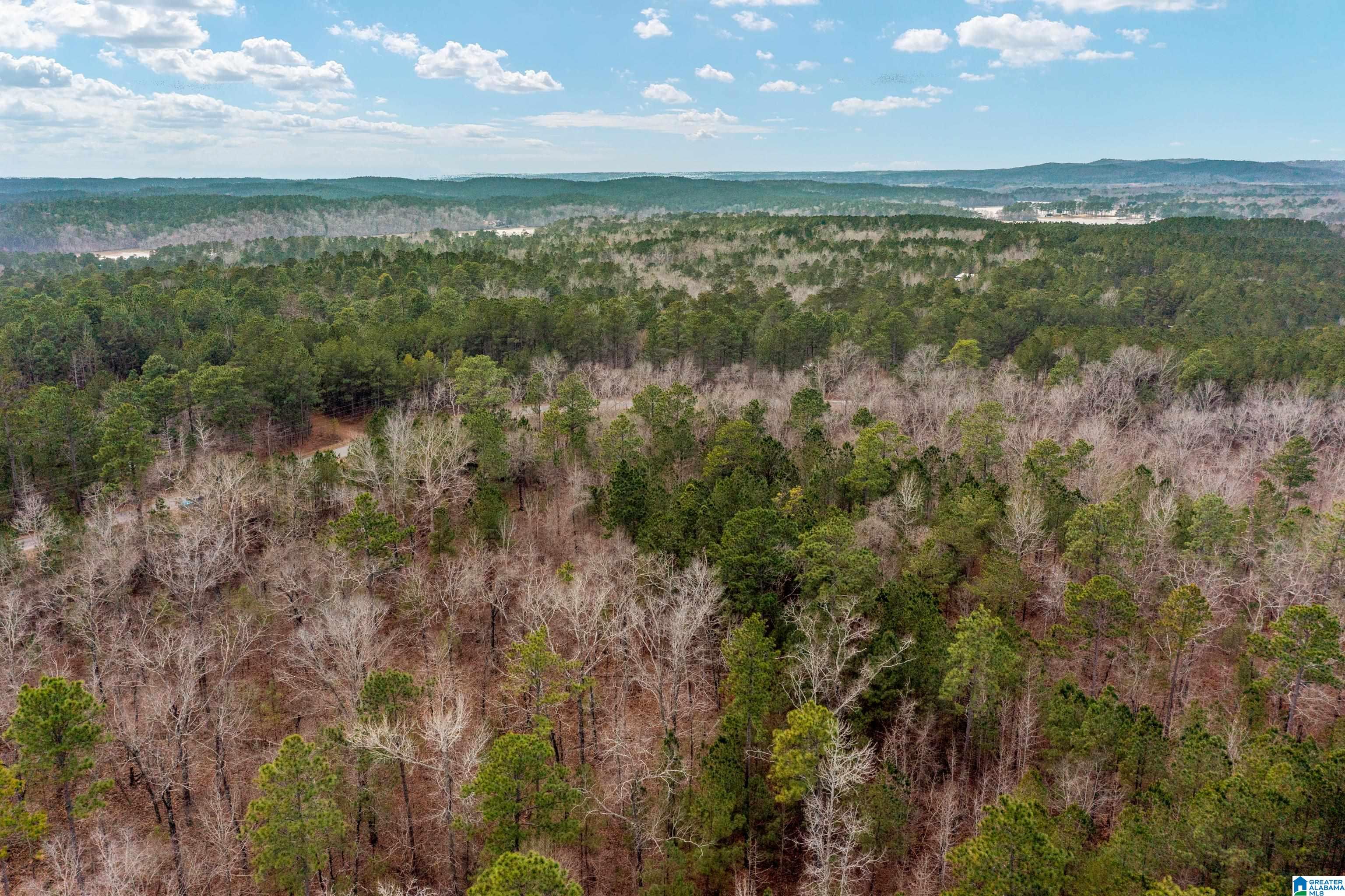 Shore Side Lane, Unit 213 Sylacauga, AL 35151 - Photo 6 of 11