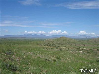 0 West White Tail Ridge Ranch Road Pearce, AZ 85625 - Photo 1 of 4