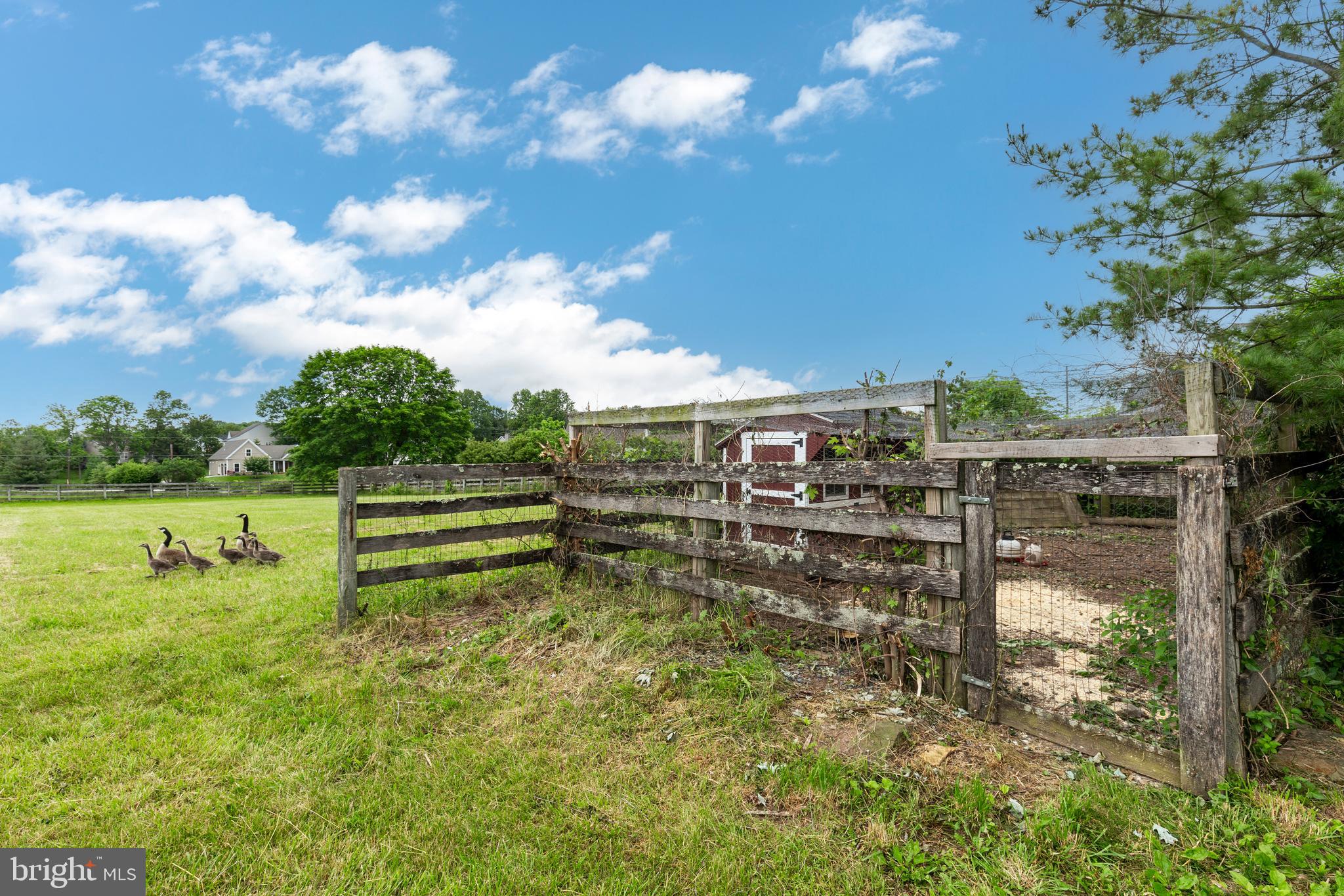 1559 Herrs Ridge Road Gettysburg, PA 17325 - Photo 70 of 86 Chicken Coop