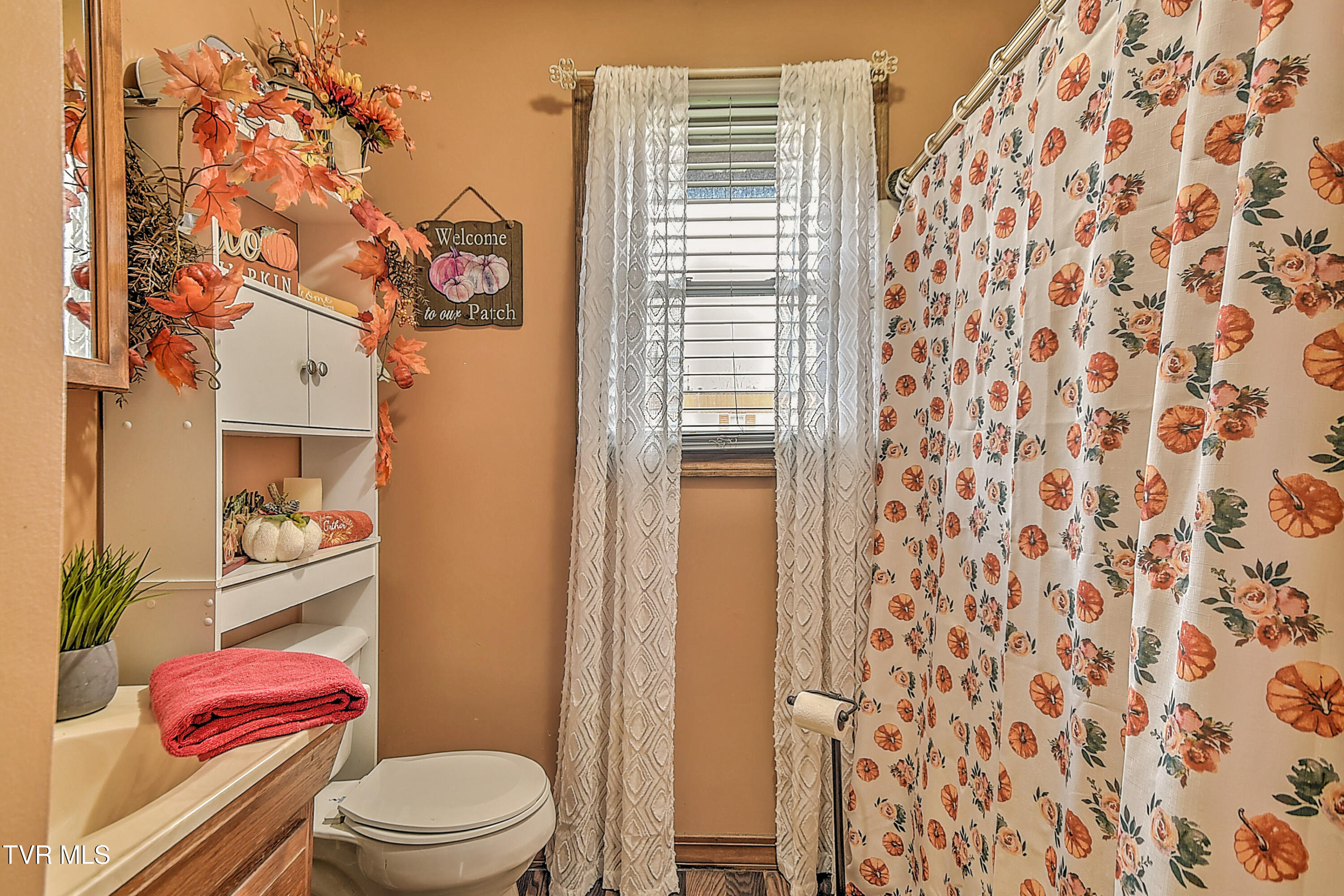 227 Old Beason Well Road Kingsport, TN 37660 - Photo 41 of 44 225 New Beason Well DP-29