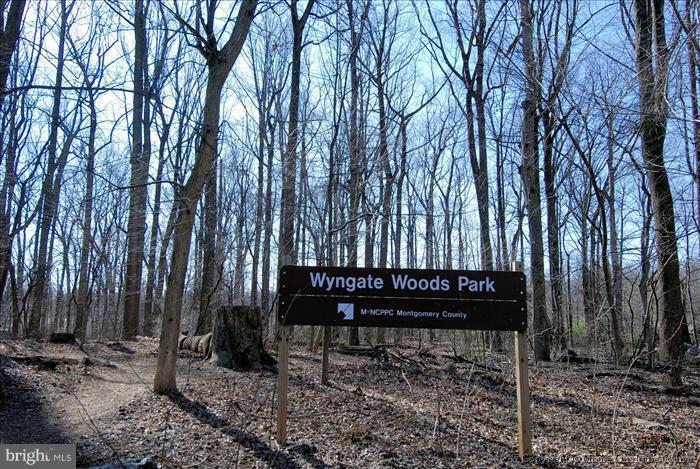 6001 Conway Road Bethesda, MD 20817 - Photo 26 of 26 a view of a bench in a backyard