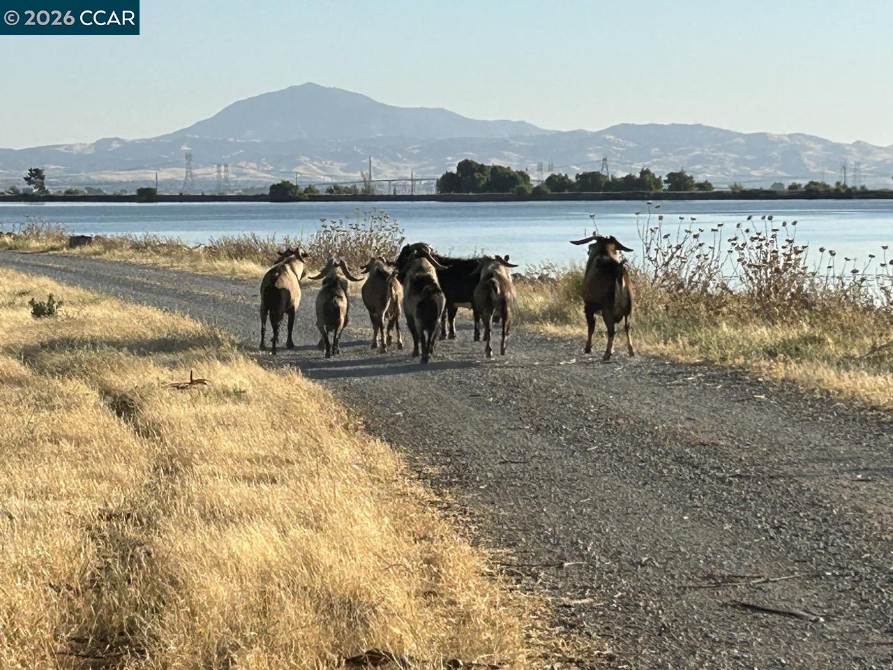 1 Bradford Island Road Rio Vista, CA 94571 - Photo 8 of 10