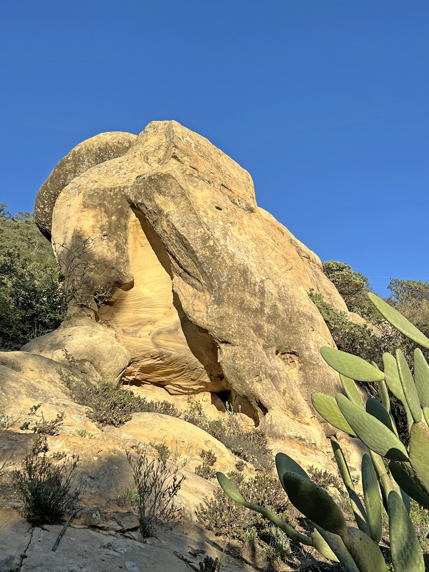 2924 San Marcos Pass Road Santa Barbara, CA 93105 - Photo 36 of 47 Native Boulders