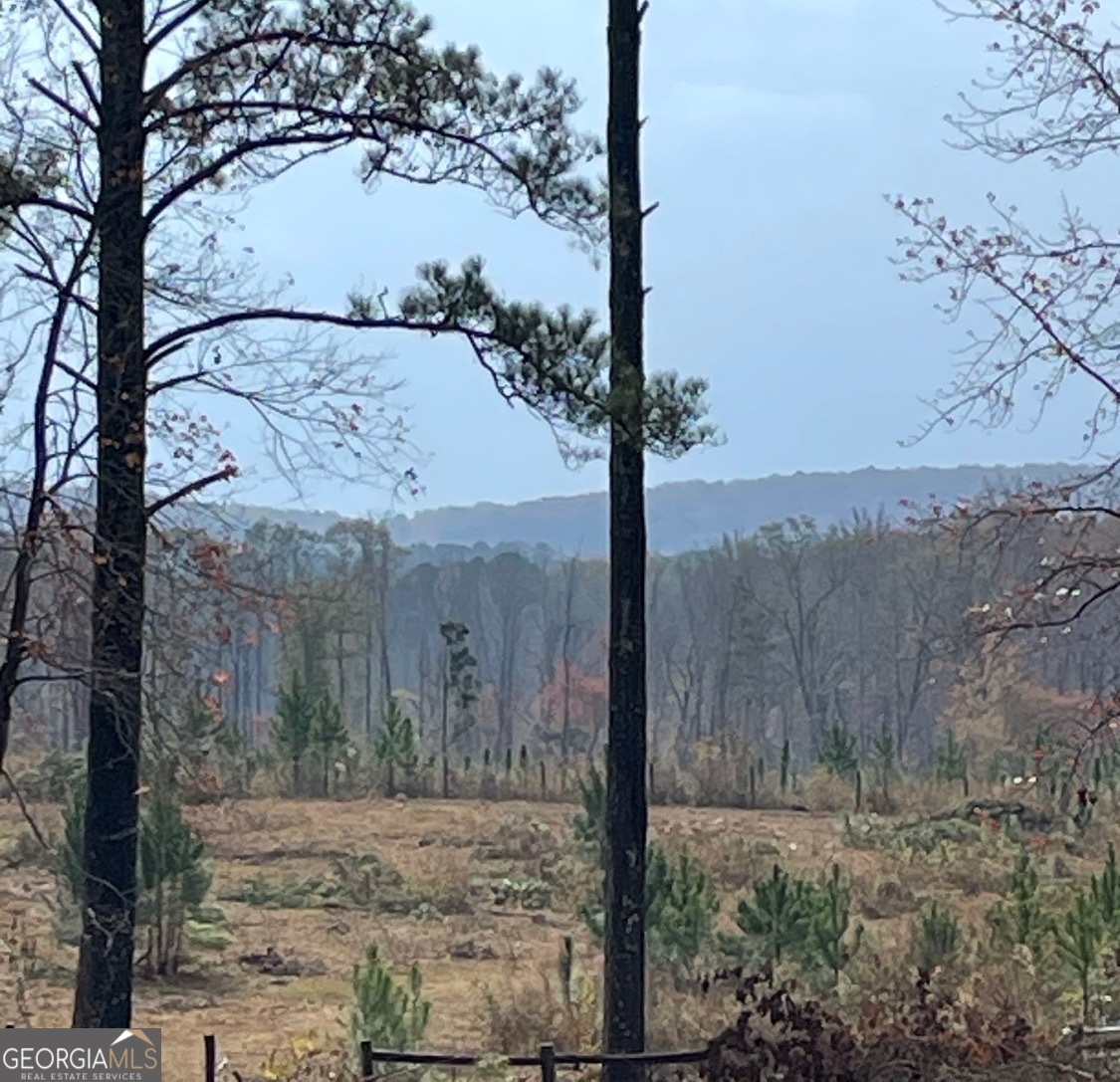 4374 River Road Manchester, GA 31816 - Photo 28 of 49