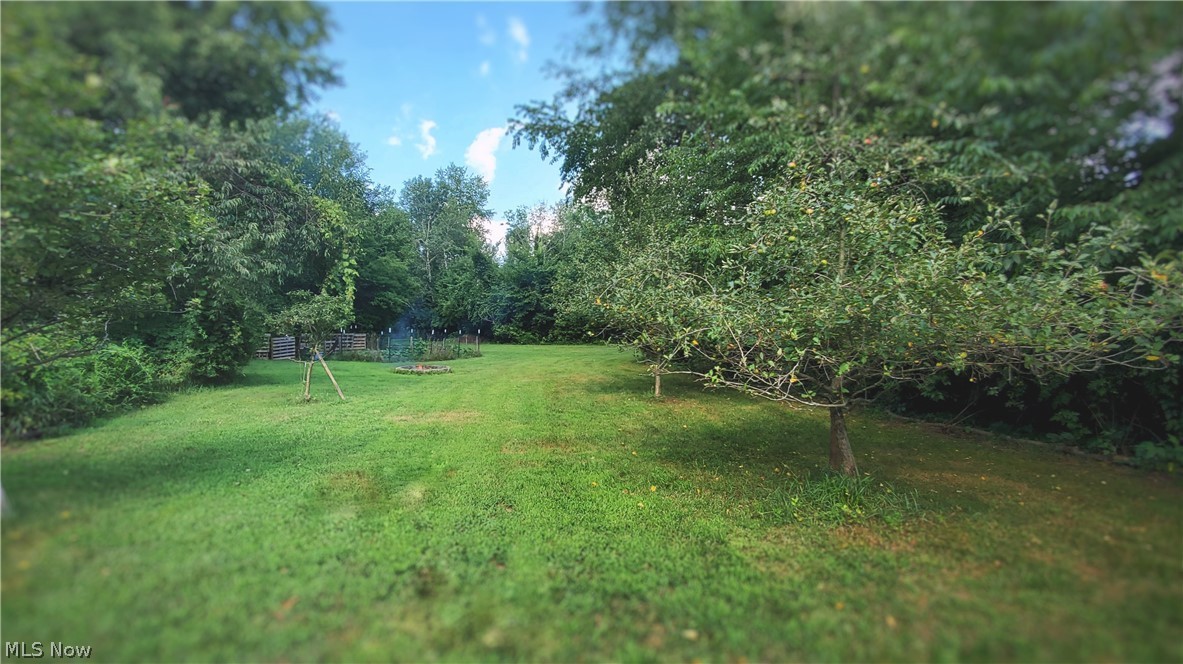 2686 Wright Road Akron, OH 44320 - Photo 29 of 30 Apple Trees, Berry Bushes, Fire Pit & Garden