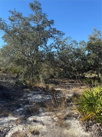 a view of a yard with a tree