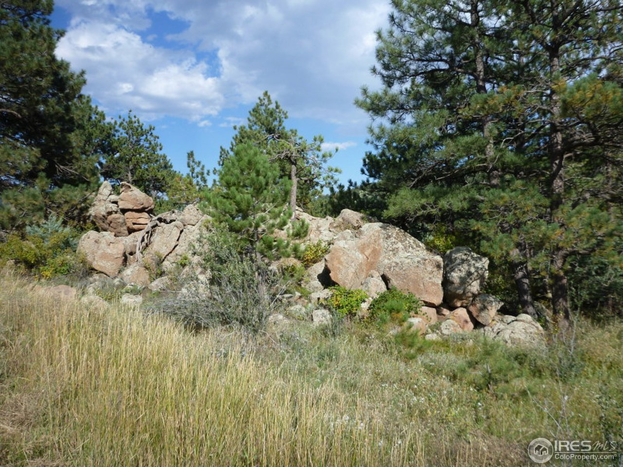 0 Kiowa Road Lyons, CO 80540 - Photo 3 of 10 Gallery Image 3