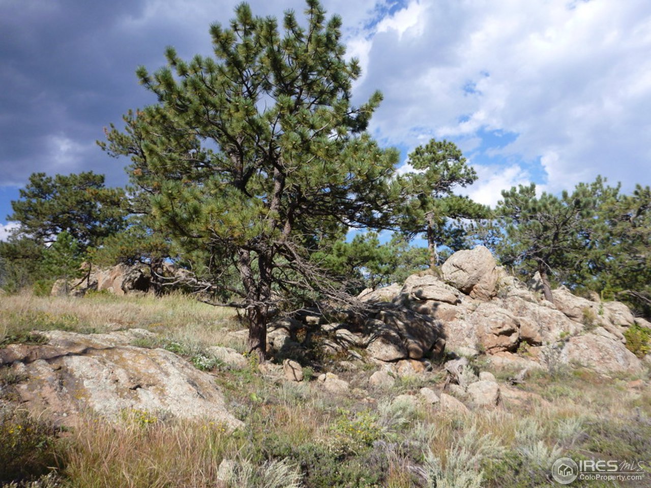 0 Kiowa Road Lyons, CO 80540 - Photo 4 of 10 Gallery Image 4