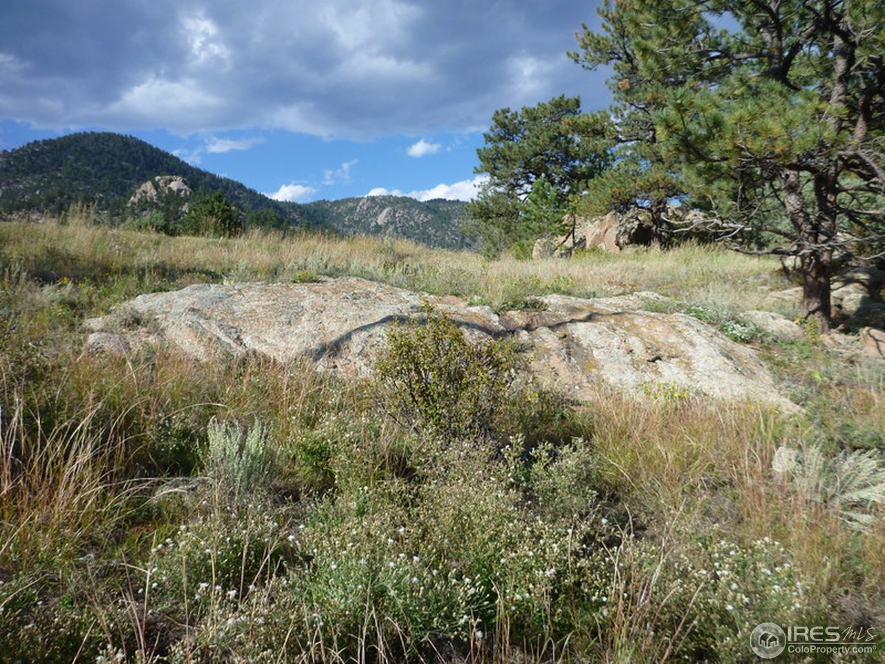 0 Kiowa Road Lyons, CO 80540 - Photo 5 of 10 Gallery Image 5