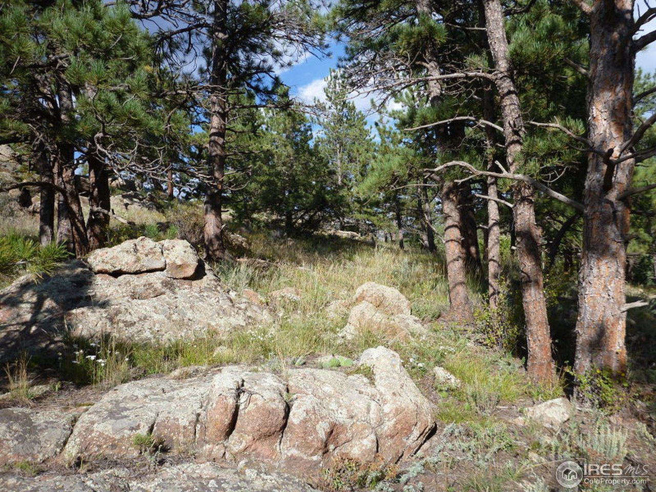 0 Kiowa Road Lyons, CO 80540 - Photo 6 of 10 Gallery Image 6